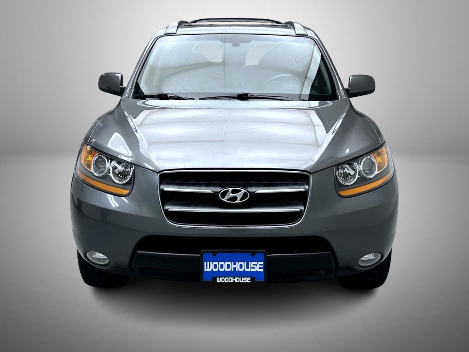 hyundai santa fe 2009 5NMSH13E49H329344 image hyundai santa fe 2009 5NMSH13E49H329344 image